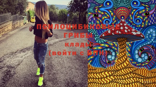 амф Беломорск